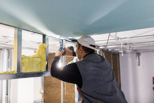 Best Insulation for New Construction  in Longtown, OK