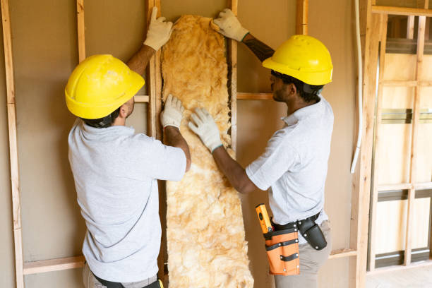 Best Insulation Inspection Services  in Longtown, OK