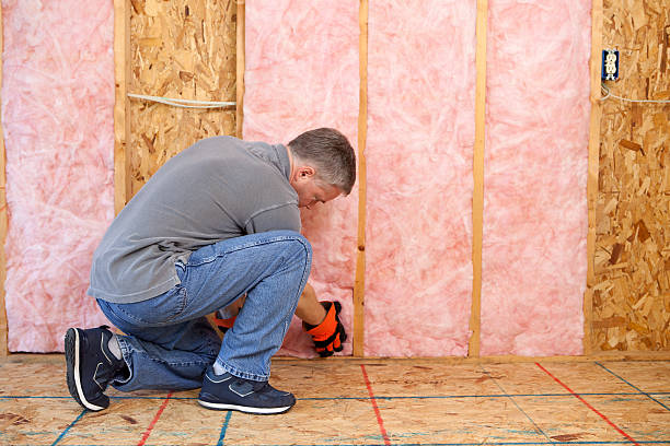 Best Crawl Space Insulation  in Longtown, OK