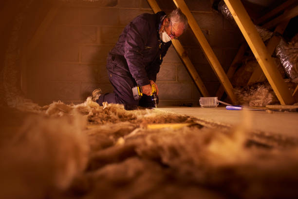 Best Home Insulation Services  in Longtown, OK